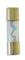 Glass Fuse(5) 60Amp