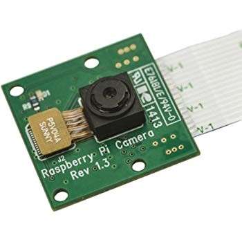 Raspberry Pi Camera Module