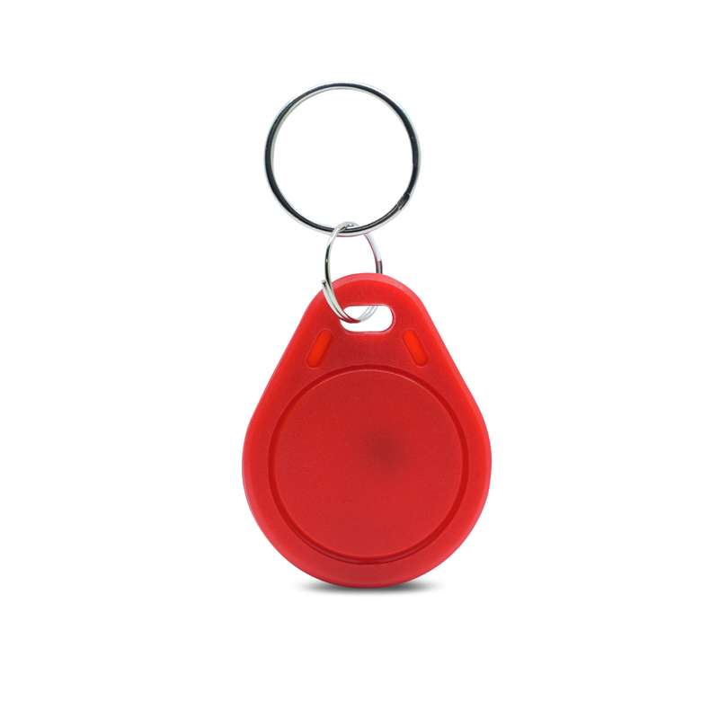 NTAG 213 Keychain Tag