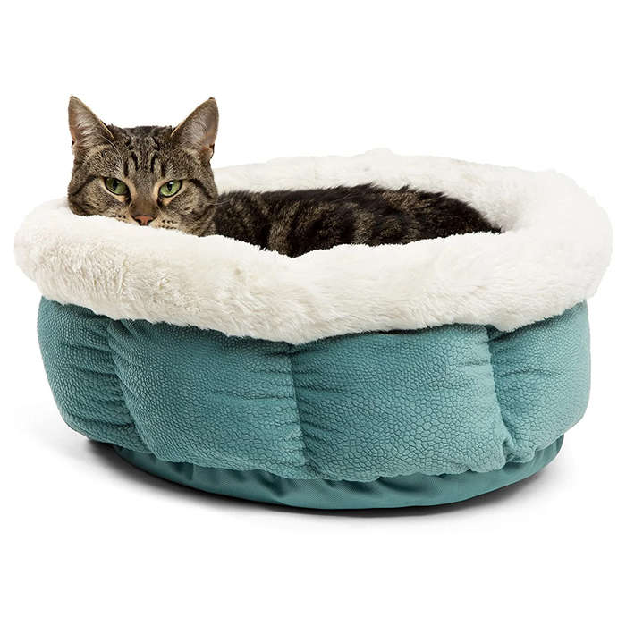 Cuddle Cup Ilan Dog and Cat Bed Mini - Tide Pool
