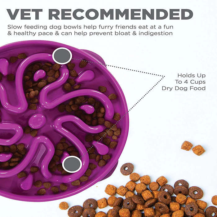 Outward Hound Fun Feeder Purple Large