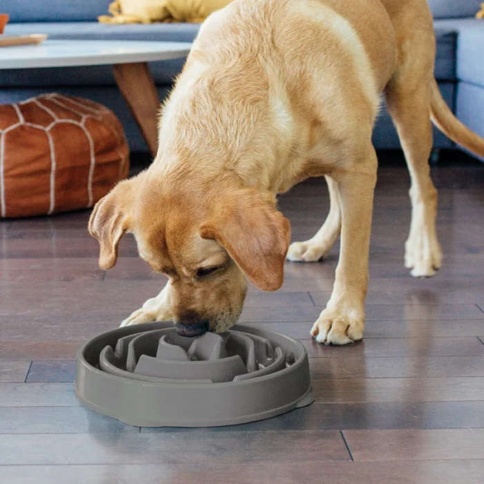 Outward Hound Fun Feeder Grey Large