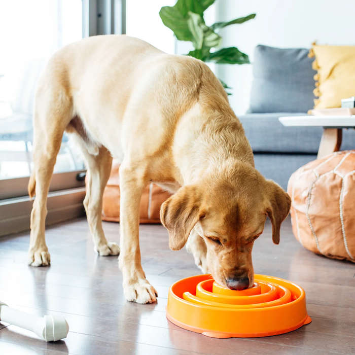 Outward Hound Fun Feeder Orange Large