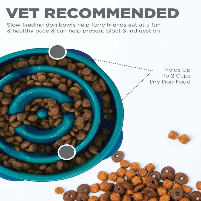Outward Hound Fun Feeder Teal Large