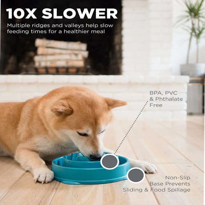Outward Hound Fun Feeder Teal Large