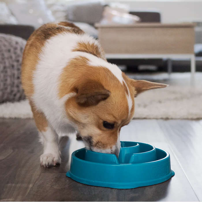 Outward Hound Fun Feeder Teal Large
