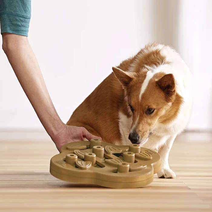 Dog Hide 'N Slide Composite Toy