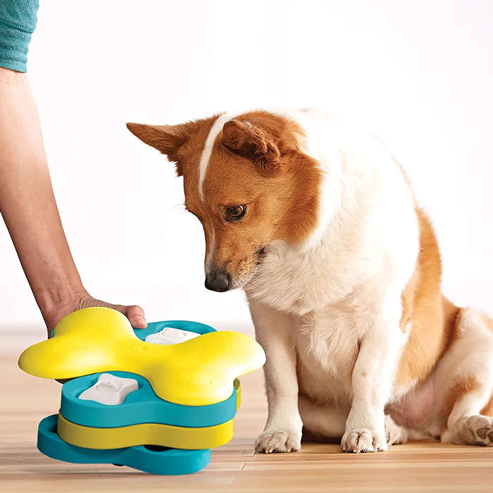 Nina Ottosson Dog Tornado
