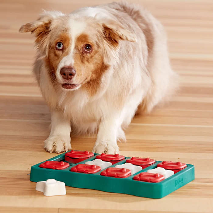 Nina Ottosson Dog Brick