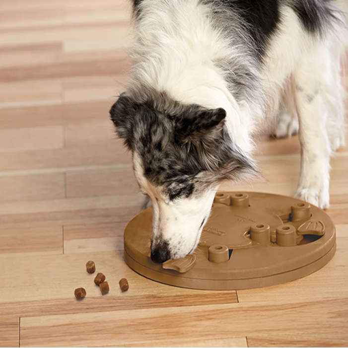 Dog Worker Composite Toy