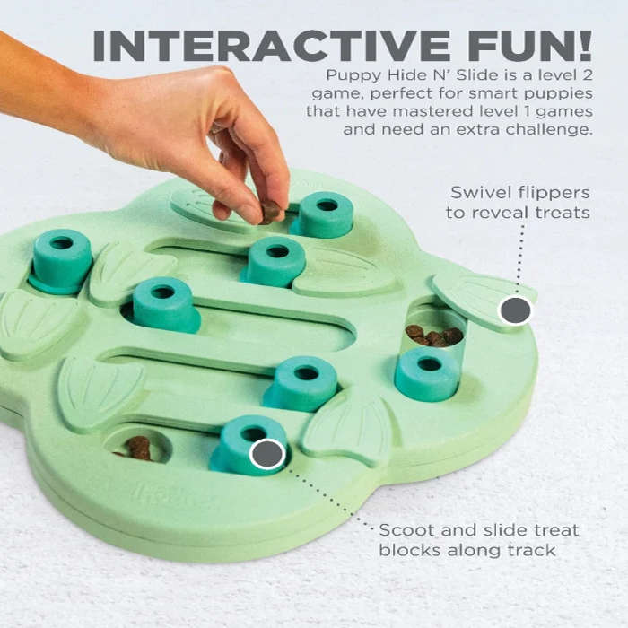 Puppy Hide 'n Slide Green Toy