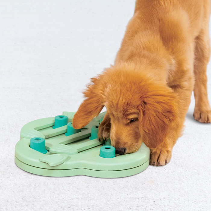 Puppy Hide 'n Slide Green Toy