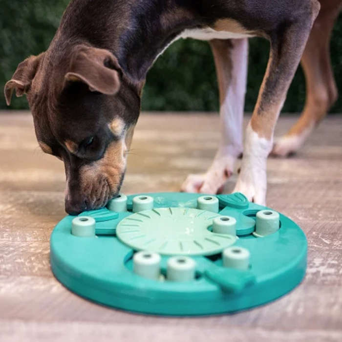 Dog Worker Treat Puzzle - Green