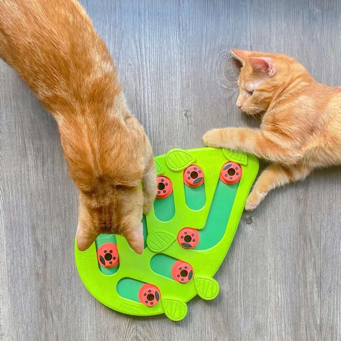 Cat Puzzle 'n Play Buggin Out