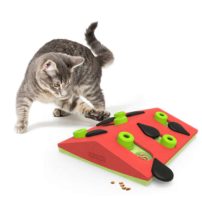 Cat Puzzle 'n Play Melon Madness