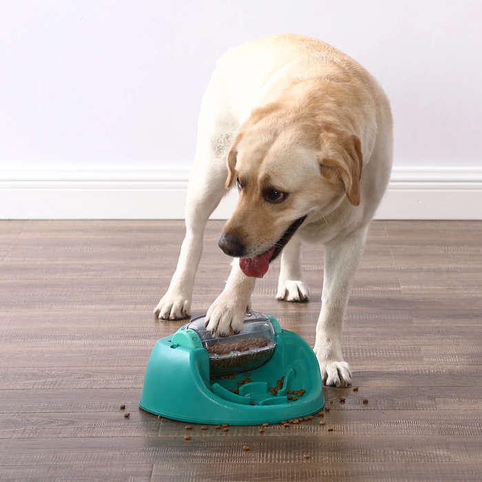 Dog Spin n' Eat Puzzle