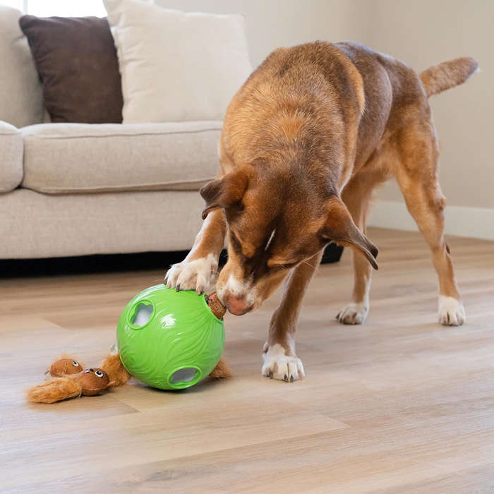 Dog Snuffle N' Treat Ball