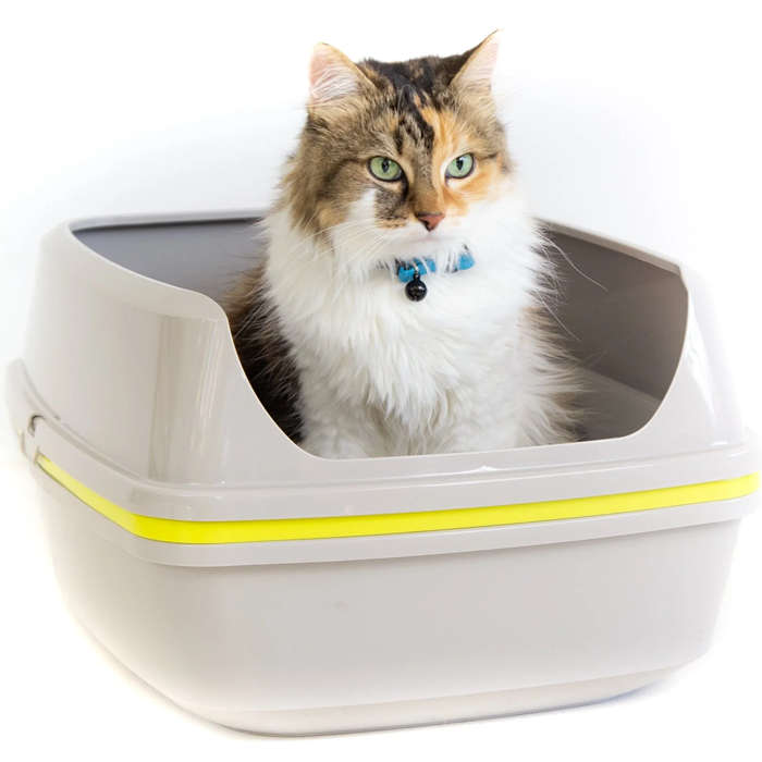 Lift to Sift Jumbo Litter Tray