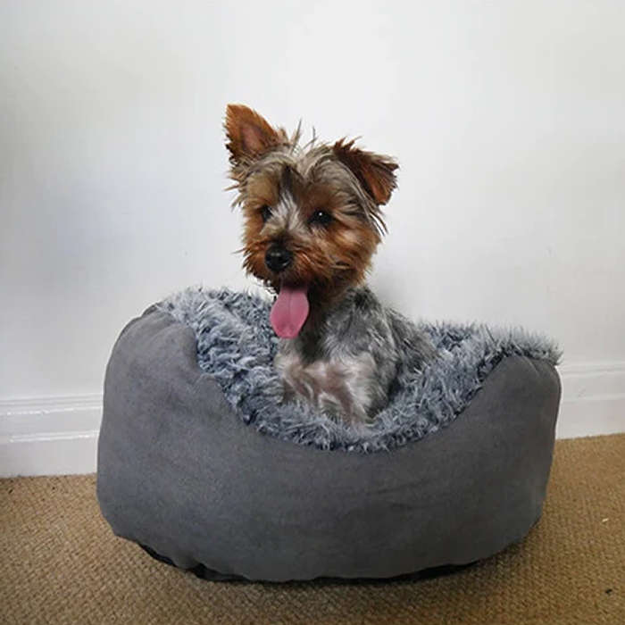 Rosewood Grey Lion Faux Suede Oval Bed Small