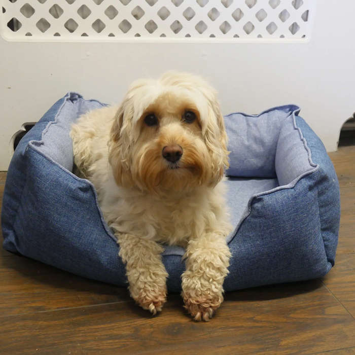 Luxury Cooling Pet Bed 60cm