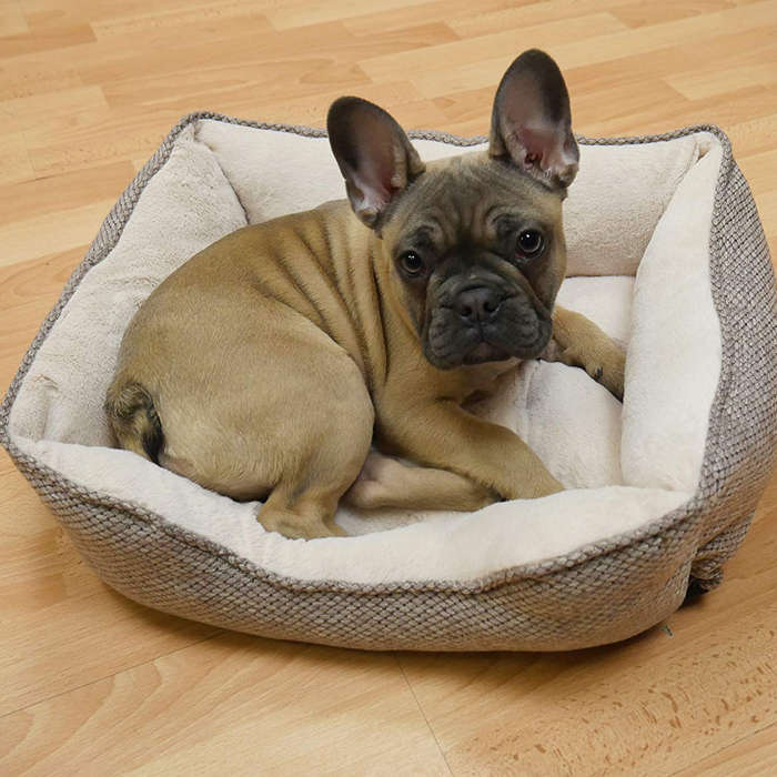 Luxury Truffle Square Bed Medium