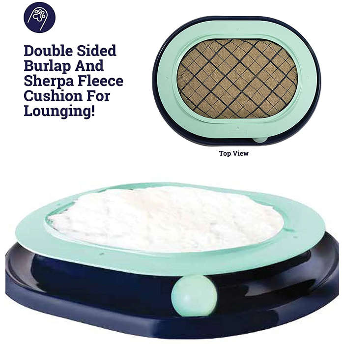 Lay 'n Play Cat Track