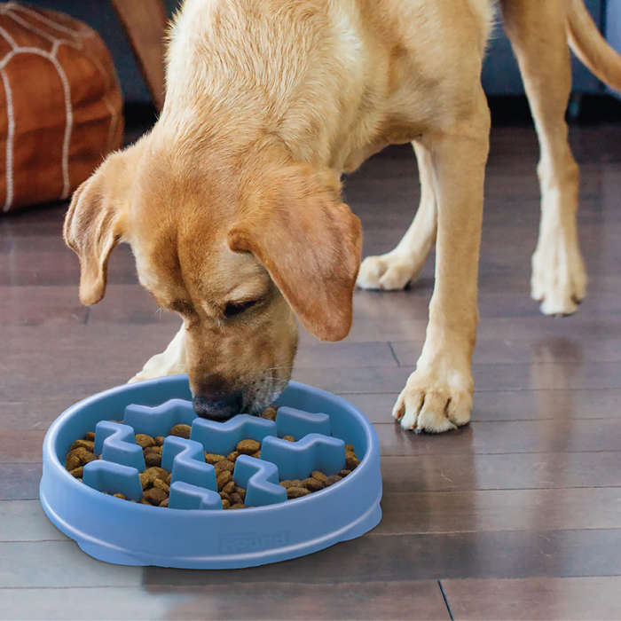 Outward Hound Fun Feeder Notch Blue Large