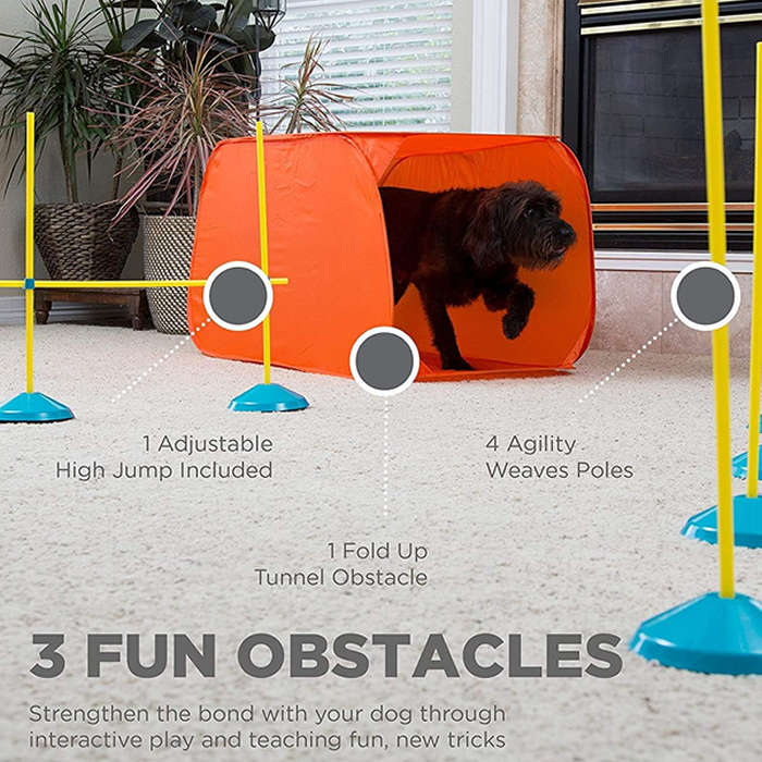 Outwood Hound Zip Zoom Agility Kit Indoor