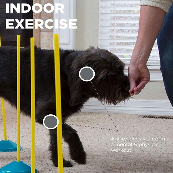 Outwood Hound Zip Zoom Agility Kit Indoor