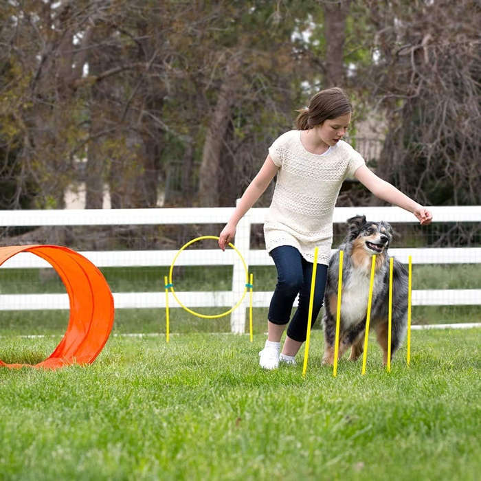Outward Hound Zip Zoom Agility Kit Outdoor