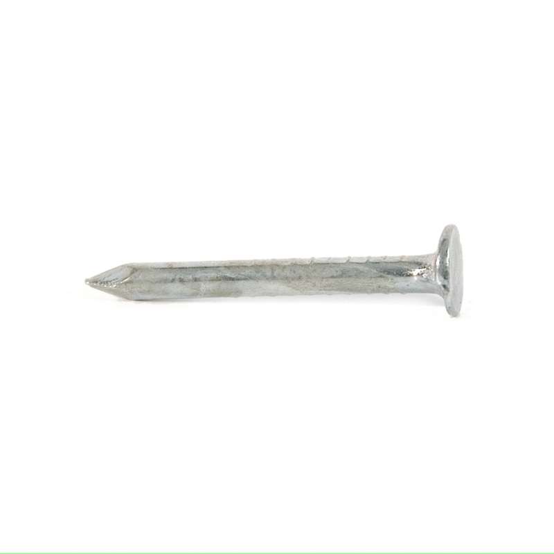 Ruwag Clout Nail 32mm (200g)