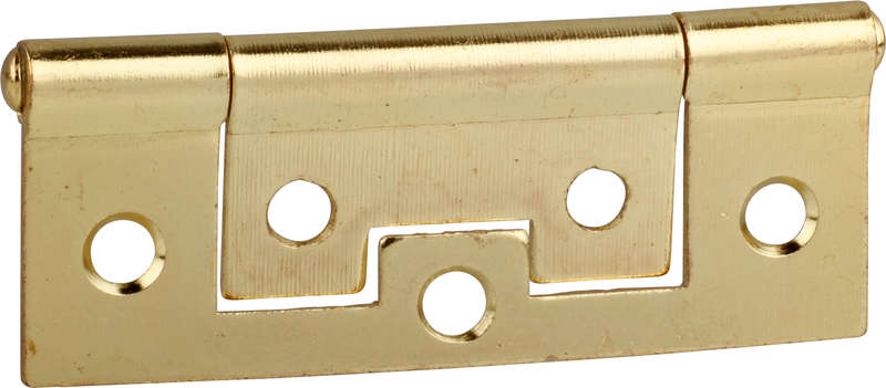 Ruwag Flush Hinge Brass Plated 100mm (2)