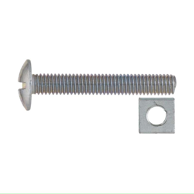 Ruwag Gutter Bolt & Nut 6x25mm (20)