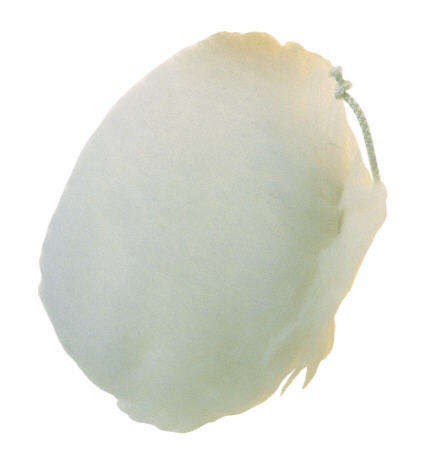 Pg Lambswool Bonnet 140mm