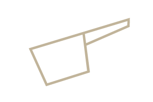 scoop icon
