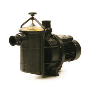 POOL PUMP AND MOTOR 0.75KW EARTHeCO (EQ/EQUE)