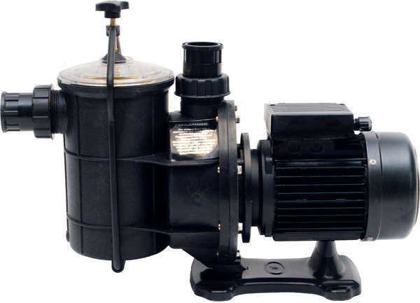 POOL PUMP AND MOTOR 0.75KW EARTHeCO (EQ/EQUE)