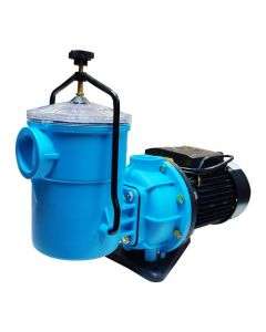 POOL PUMP AND MOTOR 1.1KW RAPID by EARTHeCO