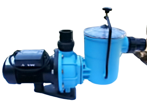POOL PUMP AND MOTOR 1.1KW RAPID by EARTHeCO