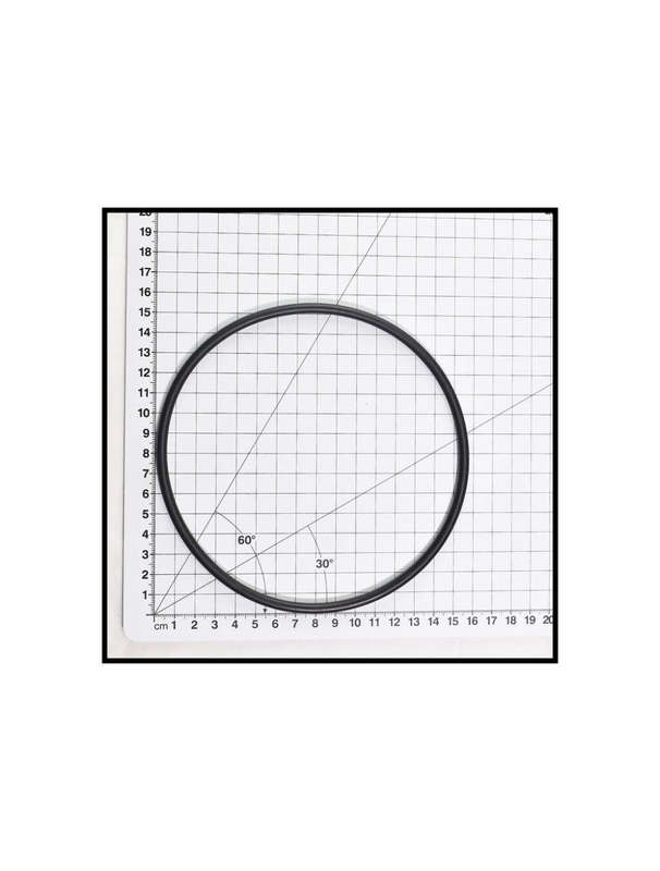 POOL FILTER LID AQUAMAX O RING (POPULAR)