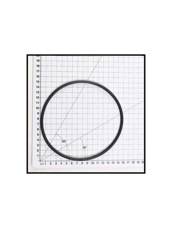 POOL PUMP LID O RING AQUAMAX
