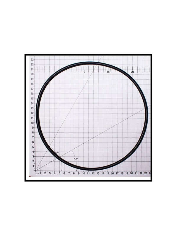 POOL PUMP SPECK PORPOISE O RING FOR BODY