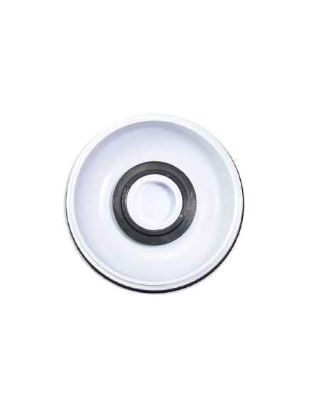SPA FILTER SPAFLO CARTRIDGE FILTER LID O'RING QUALITY
