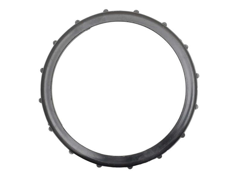 SPA FILTER SPAFLO CARTRIDGE FILTER LID RING QUALITY