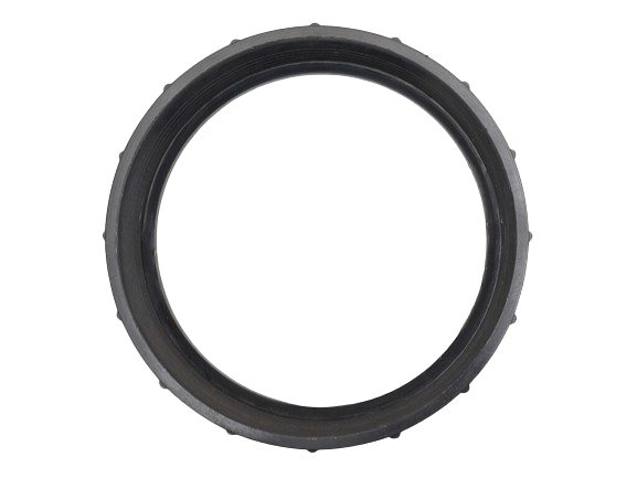 SPA FILTER SPAFLO CARTRIDGE FILTER LID RING QUALITY