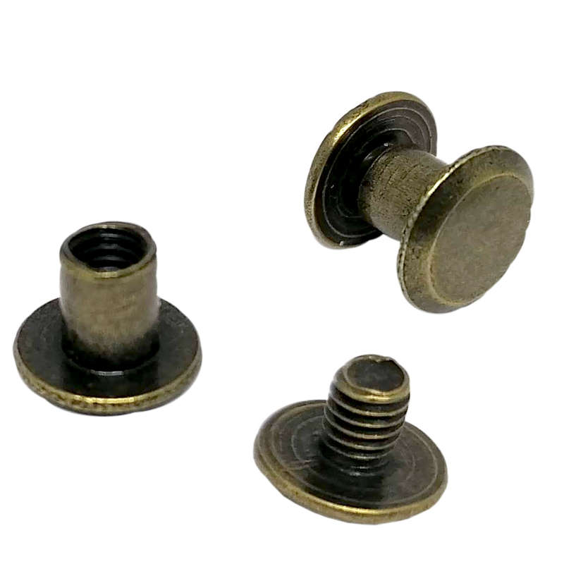 50pcs Interlocking screw 6mm, Inter screw, Interlock screw, Connecting screw, Chicago screws, screw