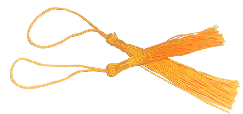 100pcs Citrus Tassel, Thread 80mm with loop