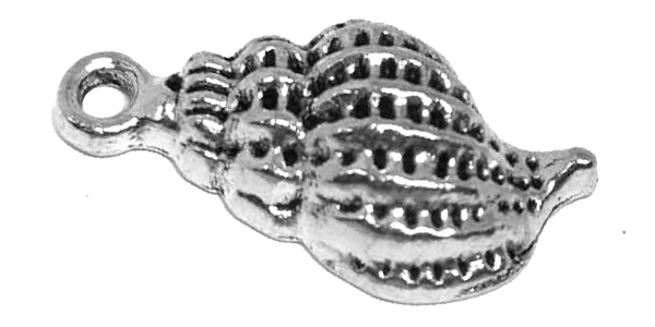 Charm, 10 Identical sea shell charms