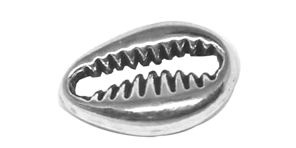 Charm, 13 Identical cowrie seashell charms