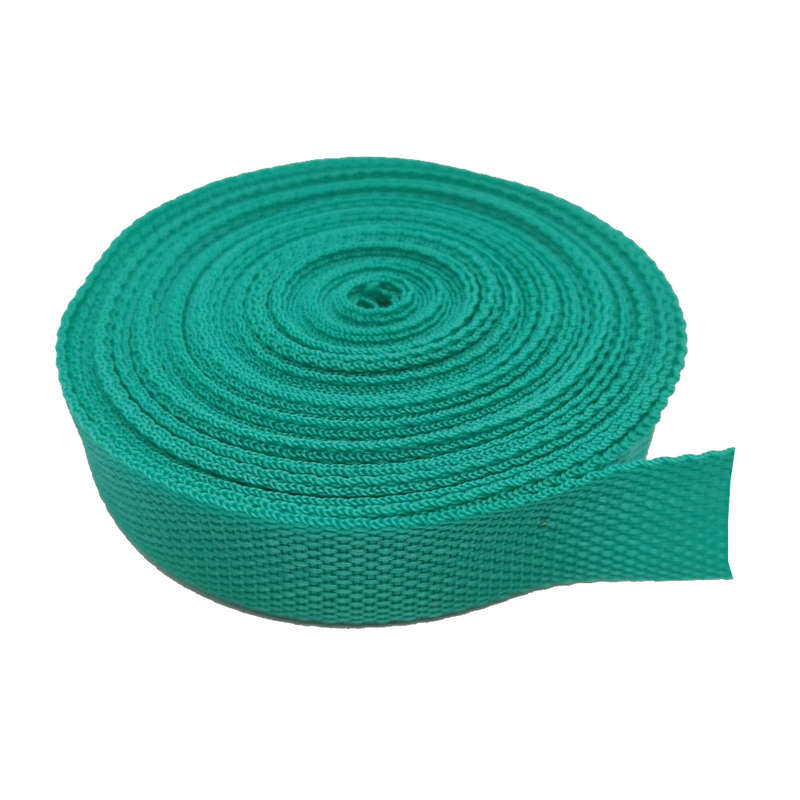 10m Webbing 20mm Turquoise
